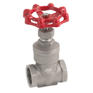 BSP STAINLESS STEEL GATE VALVE 200PSI