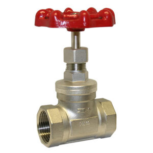 BSP STAINLESS STEEL GLOBE VALVE 200PSI